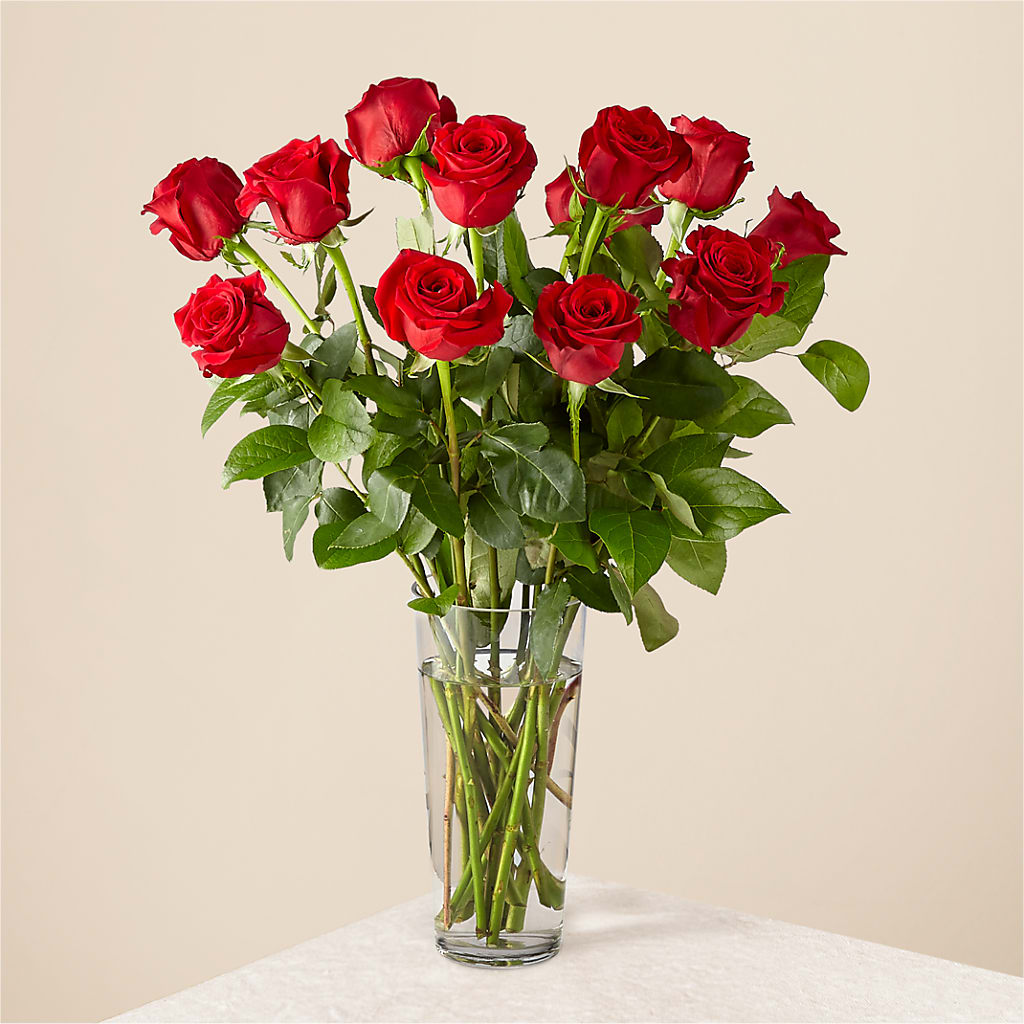 Long Stem Red Rose Bouquet – FLEURISTE JARDIN D'ANJOU, Anjou PQ