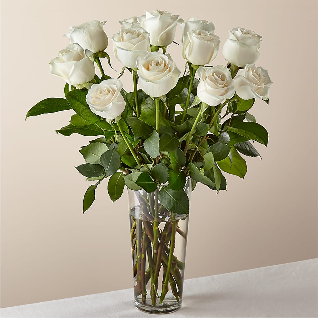 Long Stem White Rose Bouquet – FLEURISTE JARDIN D'ANJOU, Anjou PQ
