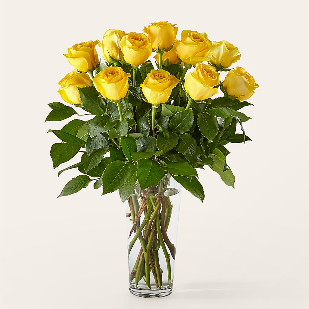 Long Stem Yellow Rose Bouquet – FLEURISTE JARDIN D'ANJOU, Anjou PQ