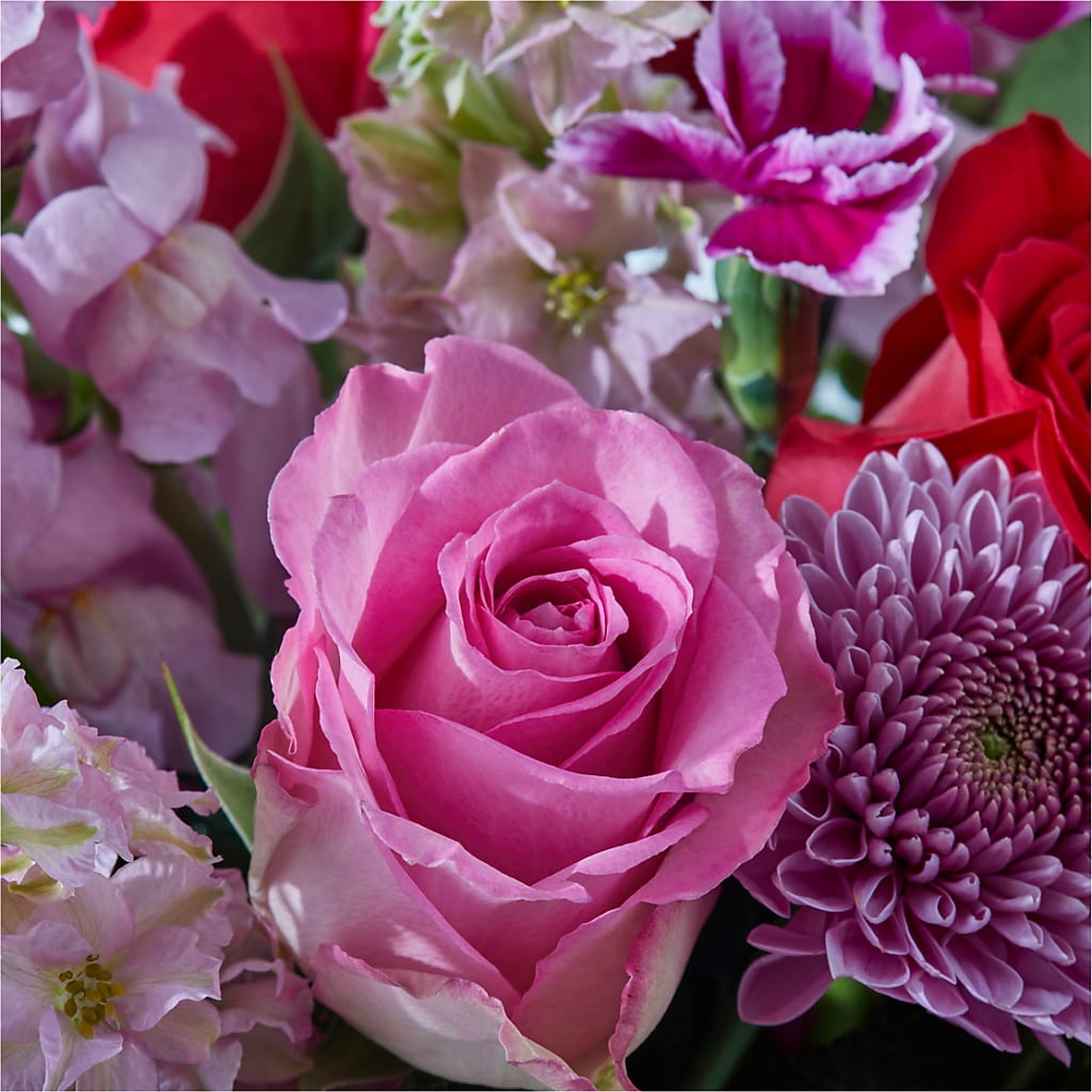Better Together - A Luxury Florist Original – FLEURISTE JARDIN D'ANJOU, Anjou PQ