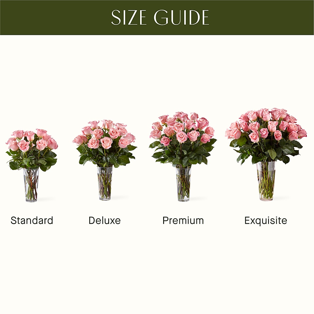 Long Stem Pink Rose Bouquet – FLEURISTE JARDIN D'ANJOU, Anjou PQ