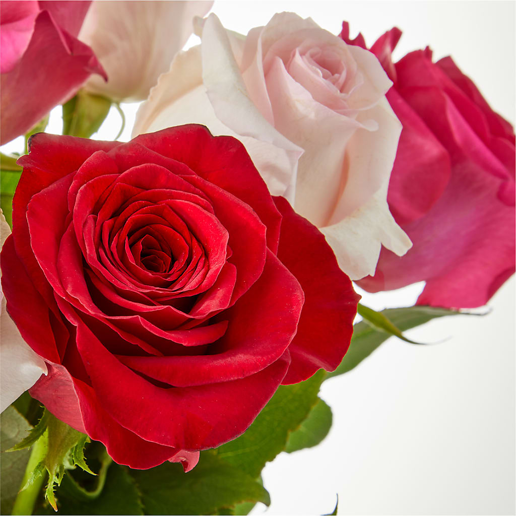 Charming Rose Bouquet – FLEURISTE JARDIN D'ANJOU, Anjou PQ